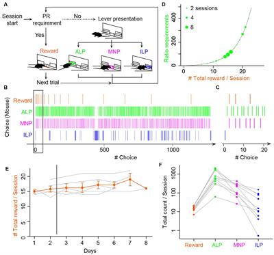 A reinforcement learning model with choice traces for a progressive ratio schedule